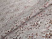 картинка Клеенка на тканевой основе Тоскана 1,37*20м, мод. JP-8190KB — Великий Путь