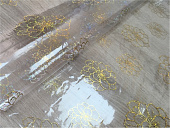картинка Клеенка прозрачная "Грация" 0,17 мм 1,40*20м мод.1374A — Великий Путь
